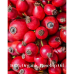 Facial Beauty Elixir - 100% Organic Rosehip Oil 有機冷壓玫瑰果油 30ml